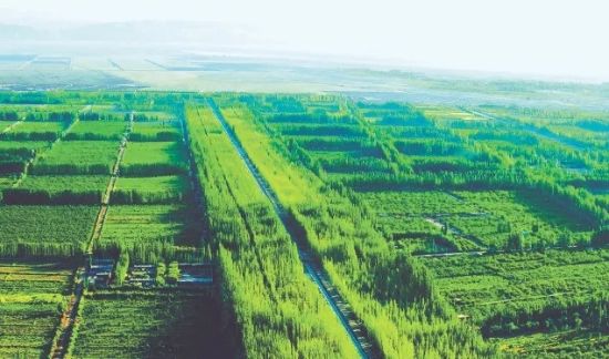 新疆阿克蘇柯柯牙綠化工程(來源:中國綠色時報).webp 新疆阿克蘇柯柯牙綠化工程(來源:中國綠色時報).webp